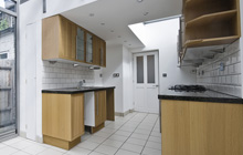 Whitbyheath kitchen extension leads